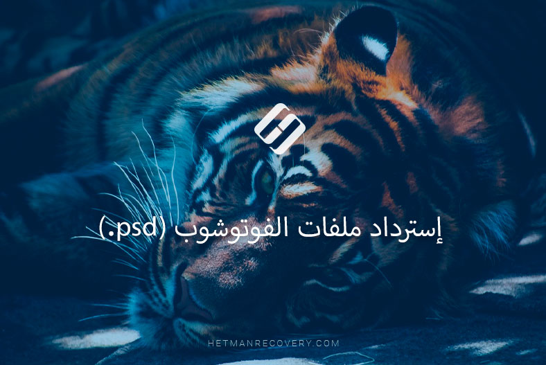 أسرار إسترداد ملفات الفوتوشوب (psd) بكفاءة